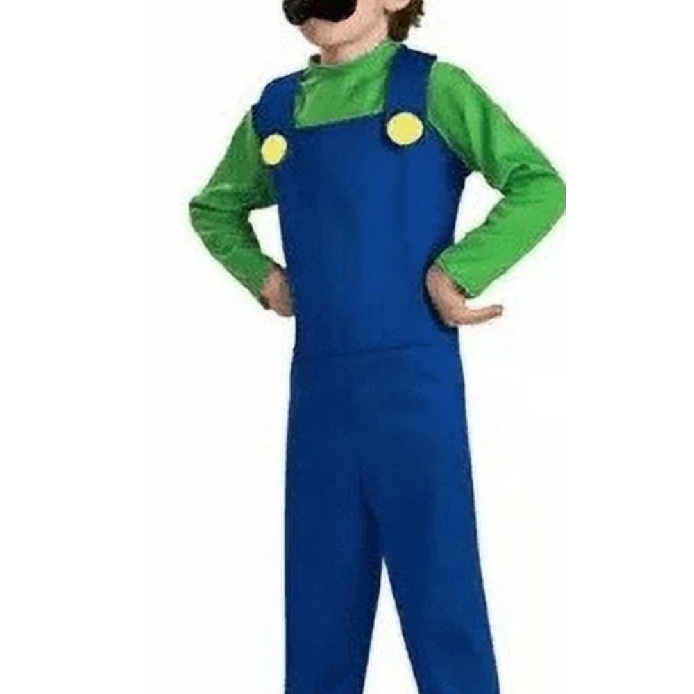 Luigi Costume (AS IS)